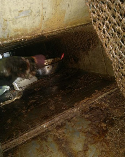 2025 年餐饮油烟治理新规:大型油烟机清洗纳入强制监管